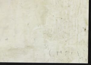 Chris Berens - Giclée, Storm kopen? Bied vanaf 120!