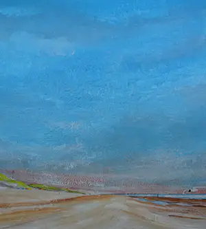 Franklin Meijer - Strand met kokmeeuw kopen? Bied vanaf 45!
