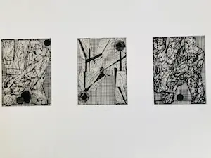 Kees Spermon - drieluik droge naald - schaamteloosheid kopen? Bied vanaf 55!