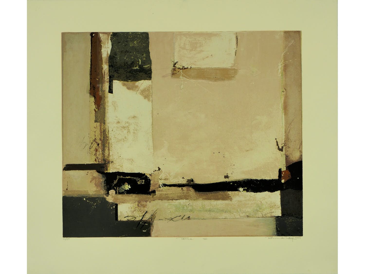 Ron van der Werf - Terra I verkocht voor € 50!