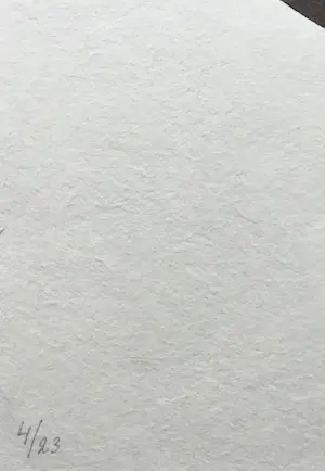 Klaas Gubbels - houtdruk 'Bruine kan ’ - 2006 - oplage 23 kopen? Bied vanaf 350!