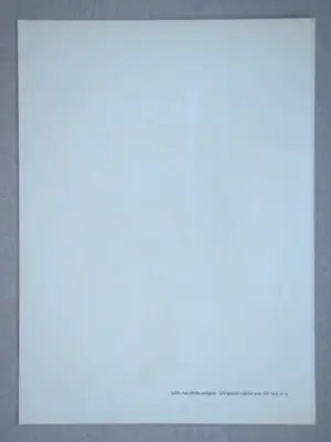 Wifredo Lam - Ambigue Affiniteiten - 1963 - Originele lithografie kaufen? Bieten Sie von 180!