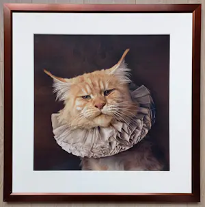 Marie Cecile Thijs - White Collar Cat III, lambdaprint (prachtig ingelijst) kopen? Bied vanaf 1500!