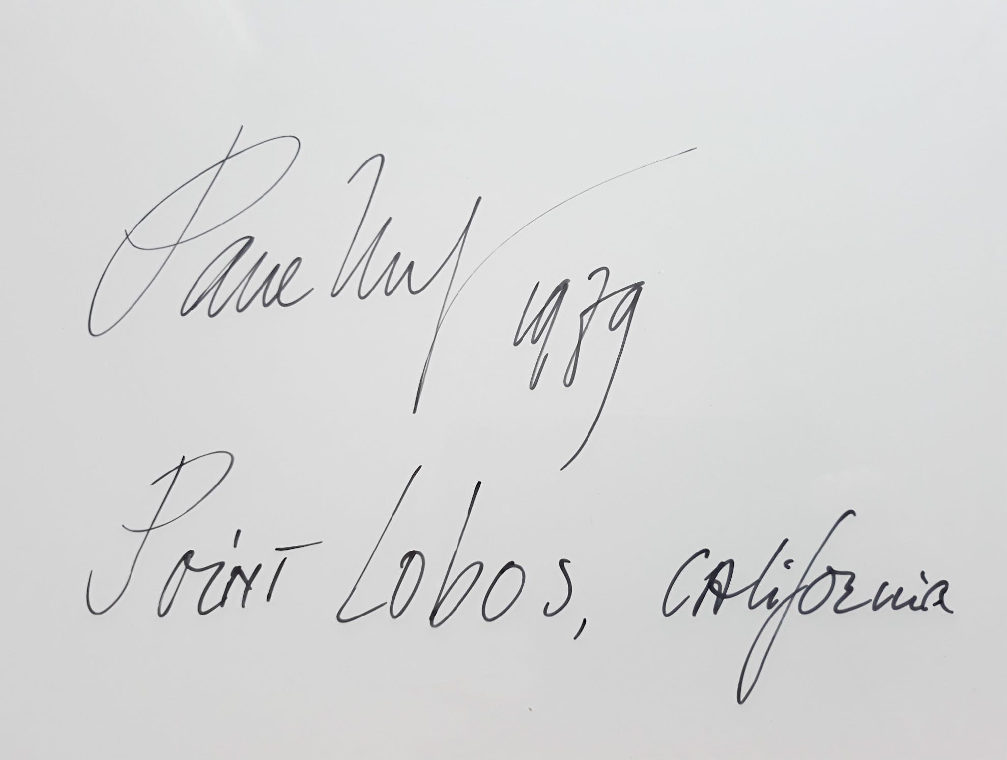 Paul Huf - Point Lobos, California, foto (ingelijst) kopen? Bied vanaf 250!