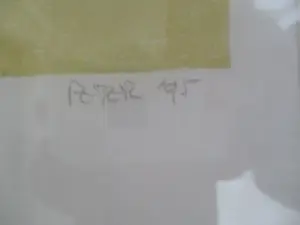 Peter Wortel - houtsnede "Sauropoden" in mooie Barth lijst! kopen? Bied vanaf 1!