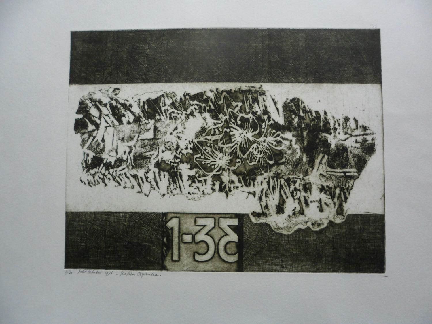 Peter Oosterbos - Ets, Titel "Grafica Organica kopen? Bied vanaf 30!