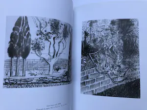 David Hockney - Close and Far kopen? Bied vanaf 1!