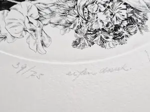 Dick Stolwijk - Grote realistische - eigen druk - Ets "Voorjaar" - potloodgesigneerd kopen? Bied vanaf 1!