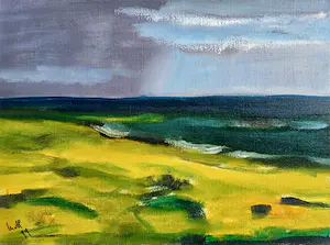 Maria van Heeswijk - Farne Island - Schotland, olieverf op doek (mooi ingelijst) kaufen? Bieten Sie von 300!
