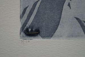 Mark Visione - Birth suite kopen? Bied vanaf 20!