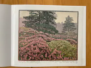Siemen Dijkstra - Vak 39 Dwingelderveld kaufen? Bieten Sie von 195!