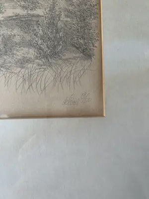 Peter Vos - Gesigneerde & genummerde lithografie (19/50), vogelvoorstelling kopen? Bied vanaf 75!