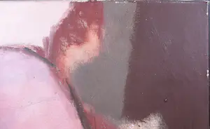 Tonny Lansdaal - Olieverf op doek, Cactus kopen? Bied vanaf 1!