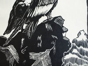 Jan Staats Kiewiet - onder pseudoniem Ed Jeska - Houtsnede , Jonge Arenden – gesigneerd -ca 1940 kopen? Bied vanaf 1!