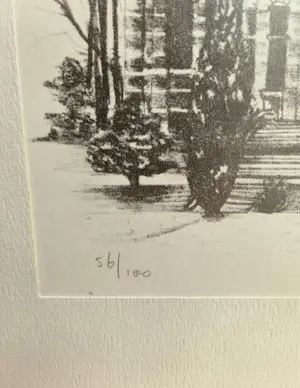 Erica Sijnja - Pentekening huis kopen? Bied vanaf 20!