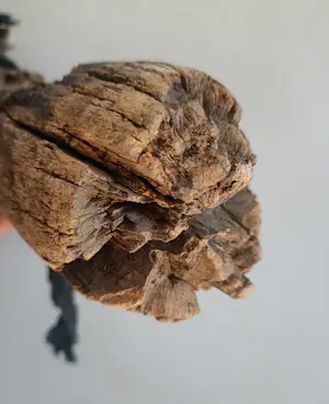 Burkina Faso - Lobi fetish, zeer oud ! kopen? Bied vanaf 45!