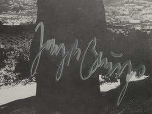 Joseph Beuys - Handgesigneerde druk van het project Defence of Nature kopen? Bied vanaf 1!