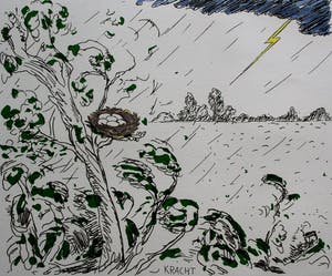 Pieter Holstein - Hand ingekleurde ets: kracht kopen? Bied vanaf 60!