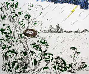 Pieter Holstein - Hand ingekleurde ets: kracht verkocht voor € 60!