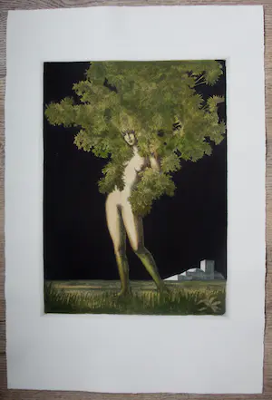 Jean Paul Vroom - Ets/aquatint: Metamorphoses kopen? Bied vanaf 59!