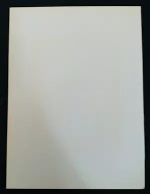 Bernard Buffet - Bouquet de tulipes jaunes, 1965. Lithografie. kopen? Bied vanaf 25!