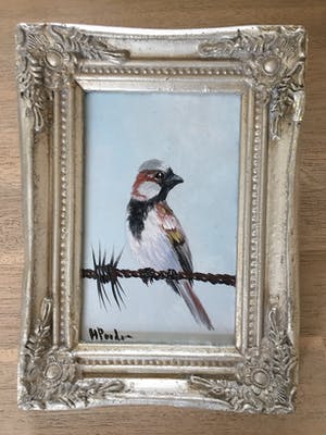 Henk Poeder - Huismus kopen? Bied vanaf 50!