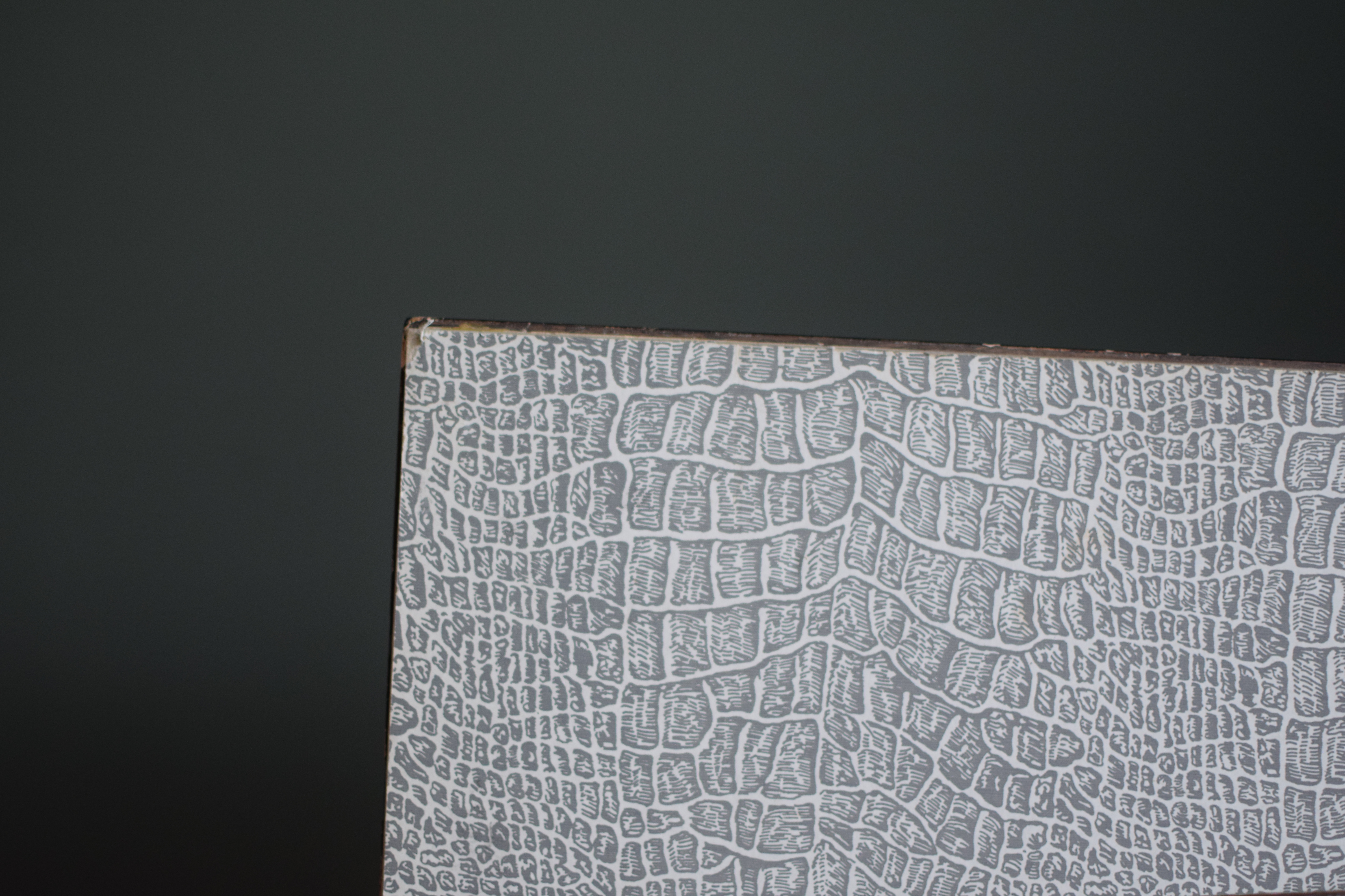 Wim Kersten - Krokussen kopen? Bied vanaf 25!