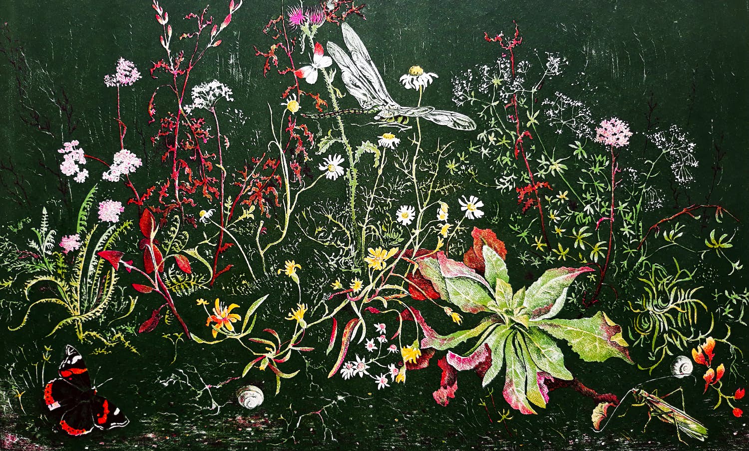 Wim Schuhmacher - Plantjes met insecten, litho verkocht voor € 25!