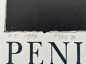 Cor Knops - Peninsula kopen? Bied vanaf 175!