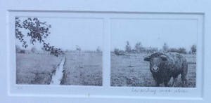 Wim van der Meij - C2465-4 - Landschap met stier kopen? Bied vanaf 25!