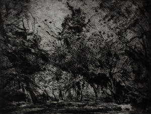 Wim Steijn - Ets/Droge Naald: Bosrand kopen? Bied vanaf 40!