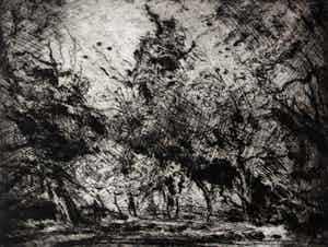 Wim Steijn - Ets/Droge Naald: Bosrand verkocht voor € 40!