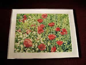 Ger van Dijck - Galerie Mia Joosten - GROOT! gesigneerde Gouache "Voorjaarsweide met Klaprozen" verkocht voor € 10!