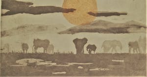 Anna Jeretic - Elephants kopen? Bied vanaf 50!