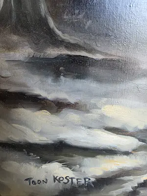 Toon Koster - Wintergezicht kopen? Bied vanaf 200!