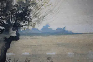 Sjoerdtje Mulder-Hak - Knotwilgen met verre einder - mooi ingelijste aquarel kopen? Bied vanaf 85!