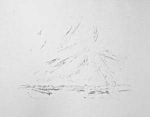 Willem den Ouden - In de uiterwaarden kopen? Bied vanaf 70!