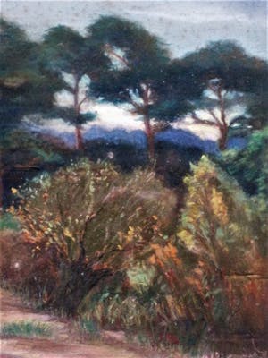 Niet of onleesbaar gesigneerd - Fraai "Avond" Pastel - 1930- "Aerdenhoutse duinen bij Bentveld" gesigneerd kopen? Bied vanaf 1!