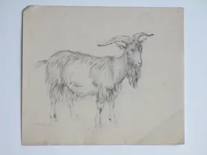 Frans Lebret - Twee tekeningen van een bok en een geit kopen? Bied vanaf 60!