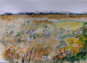 Bertus Voortman - Weiland met bloemen kopen? Bied vanaf 10!