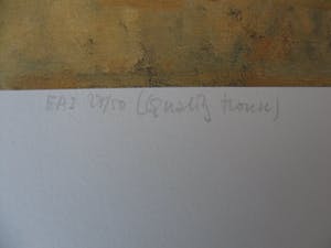 Rob Houdijk - Offset-litho, Titel, "Kippenhok". kopen? Bied vanaf 30!