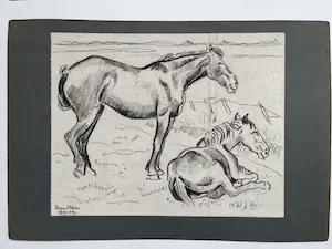 Harmen Meurs - Twee paarden kopen? Bied vanaf 80!