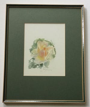 Hetty Kluytmans - Roos | prachtige aquarel, mooi ingelijst kopen? Bied vanaf 35!