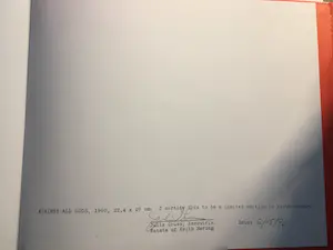 Keith Haring - Zeldzame litho uit het portfolio Against all odds kopen? Bied vanaf 1!