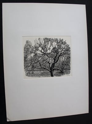 Dirk van Gelder - Houtgravure: Veere - 1952 kopen? Bied vanaf 49!