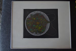 Harry van Kruiningen - Ets, eerst vrijkomende cel uit een zygote. kopen? Bied vanaf 50!