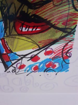 Herman Brood - Singer, grote zeefdruk, mooi gelijst kopen? Bied vanaf 390!