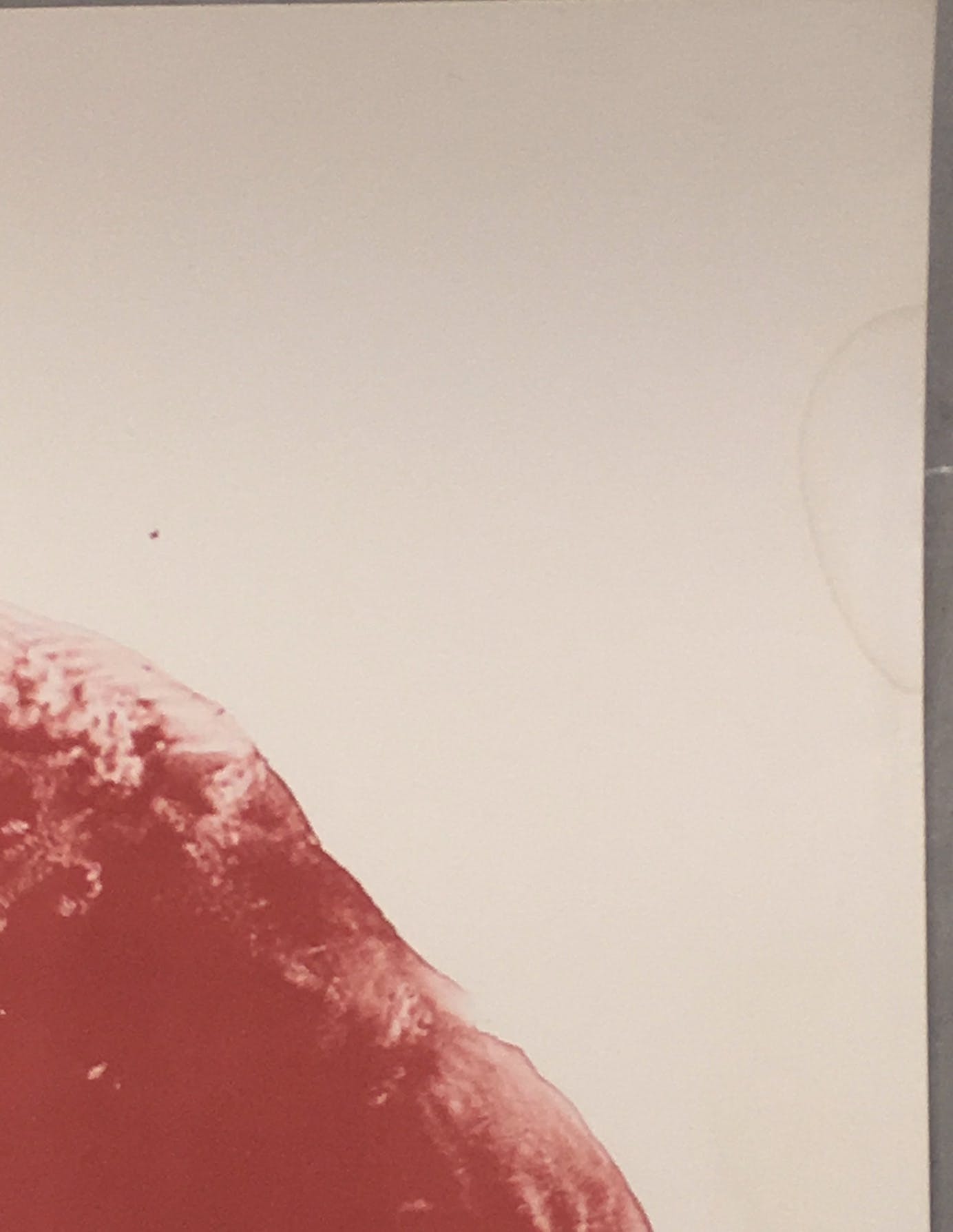 Armando - Litho, Der Kopf (Groot!) kopen? Bied vanaf 250!