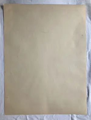 Adriaan van 't Hoff - Lithografische prent , Oehoe – Uitgegeven door De V.AE.V.O. –100x75 cm kopen? Bied vanaf 60!