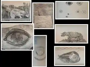 Max Ernst - Map met 34 werken: Histoire Naturelle - 1972 kaufen? Bieten Sie von 499!